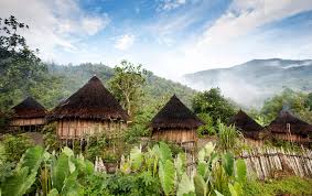 Best X (Twitter) Management Companies in Papua New Guinea