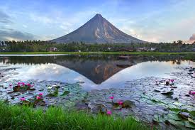 Best X (Twitter) Management Companies in the Philippines