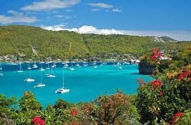 Best X (Twitter) Management Companies in Saint Vincent and the Grenadines