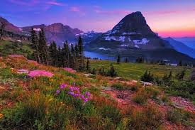 Best Facebook Management Companies in Montana