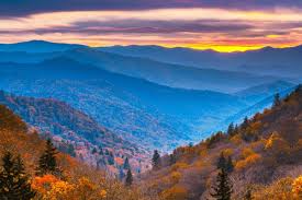 Best Facebook Management Companies in Tennessee