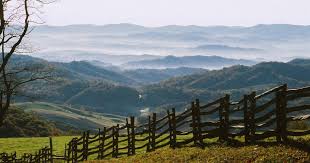 Best Facebook Management Companies in Virginia