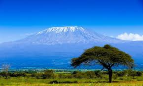 Best Twitch Management Companies in Tanzania