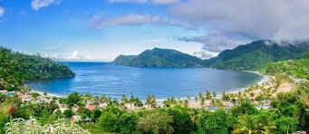 Best Twitch Management Companies in Trinidad and Tobago