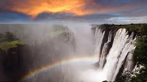 Best Twitch Management Companies in Zimbabwe