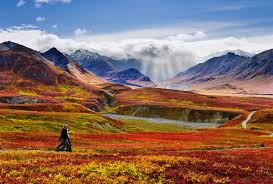 Top or Best Logo Animation Agencies and Companies in Anchorage, Alaska