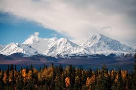 Top or Best Business Card Design Agencies and Companies in Anchorage, Alaska