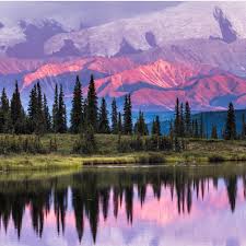 Top or Best Brand Identity Package Agencies and Companies in Anchorage, Alaska