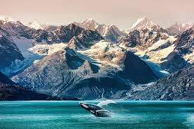 Top or Best NFT Art Agencies and Companies in Anchorage, Alaska