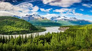 Top or Best Portrait and Caricature Agencies and Companies in Anchorage, Alaska