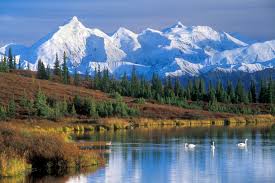 Top or Best Cartoon and Comic Agencies and Companies in Anchorage, Alaska