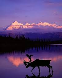 Top or Best Storyboard Agencies and Companies in Anchorage, Alaska