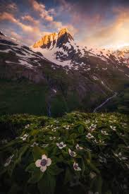 Top or Best Website Design Agencies and Companies in Anchorage, Alaska