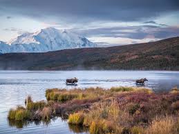 Top or Best Video Editing Agencies and Companies in Anchorage, Alaska