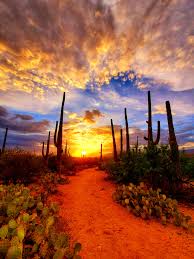 Top or Best Web and Mobile Design Agencies and Companies in Mesa, Arizona