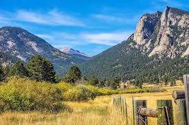 Top or Best Cartoon and Comic Agencies and Companies in Boulder, Colorado