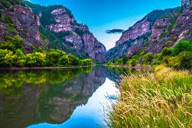 Top or Best Tattoo Design Agencies and Companies in Boulder, Colorado