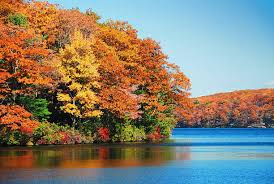 Top or Best Cartoon and Comic Agencies and Companies in Claymont, Delaware