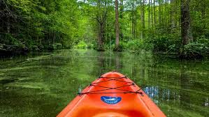 Top or Best Social Media Design Agencies and Companies in Claymont, Delaware