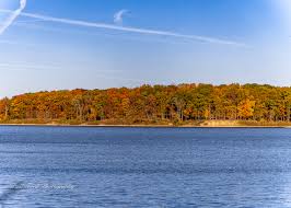 Top or Best Direct Mail Design Agencies and Companies in Claymont, Delaware