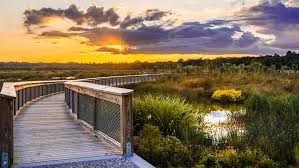 Top or Best Catalog Design Agencies and Companies in Gainesville, Florida