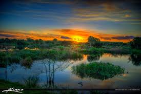 Top or Best NFT Art Agencies and Companies in Wellington, Florida