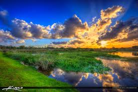 Top or Best Cartoon and Comic Agencies and Companies in Wellington, Florida