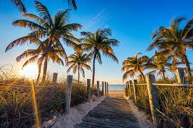 Top or Best Invitation Design Agencies and Companies in Wellington, Florida