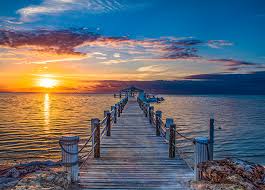 Top NFT Art Agencies in Florida