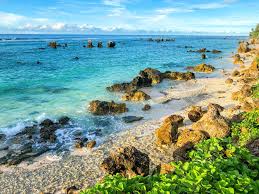 Best X (Twitter) Management Companies in Nauru