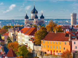 Top Custom Graphics for Videos in Estonia: DolFinContent Leading the Way
