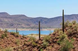 Top or Best Storyboards Agencies and Companies in Glendale, Arizona