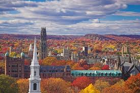 Top or Best Catalog Design Agencies and Companies in New Haven, Connecticut