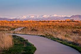 Top or Best Web and Mobile Design Agencies and Companies in Parker, Colorado