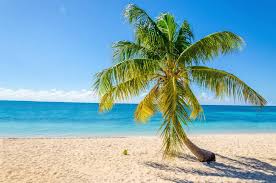 Top Website Design Agencies in Haiti
