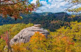 Top Web & Mobile Design Agencies in Kentucky