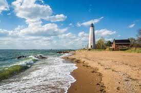 Top or Best Packaging Design Agencies and Companies in New Haven, Connecticut