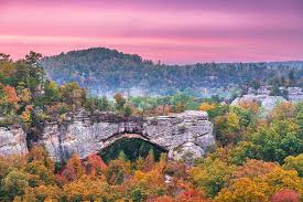 Top Banner Ads Agencies in Kentucky