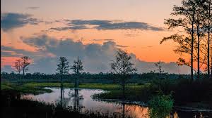 Top Banner Ads Agencies in Louisiana