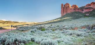 Top and Best Custom Graphics for Videos in Laramie, Wyoming