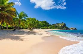 Top 5 Brochure Design Agencies in Grenada