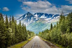 Top or Best Website Design Agencies and Companies in Badger, Alaska