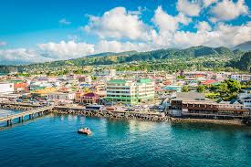 Top Logo Design Agencies in Dominica