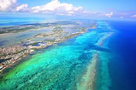 Top Mural Design Agencies in Belize