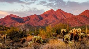 Top or Best Presentation Design Agencies and Companies in Peoria, Arizona