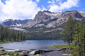 Top or Best Business Card Design Agencies and Companies in Meridian, Idaho