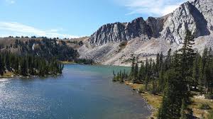 Top and Best Website Design Services in Laramie, Wyoming