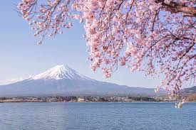 Top Logo Animation Agencies in Japan: Bringing Brands to Life with Motion