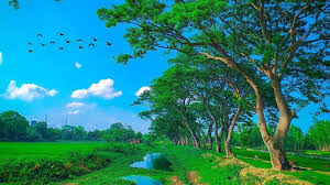 Top Logo Animation Agencies in Bangladesh
