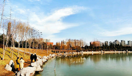 Top or Best AR Filters & Lenses Agencies and Companies in Zhoukou, China